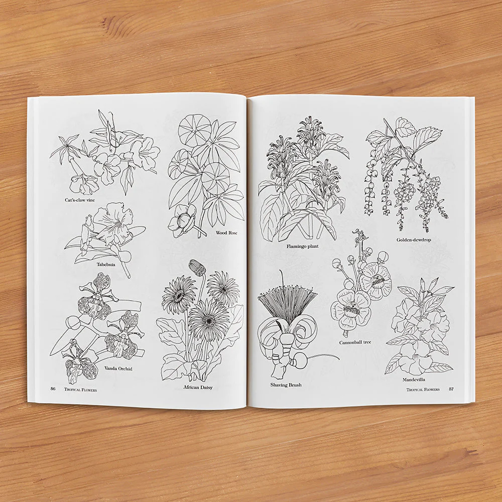 "Big Book of Plant and Flower Illustrations" by Maggie Kate - Image 2