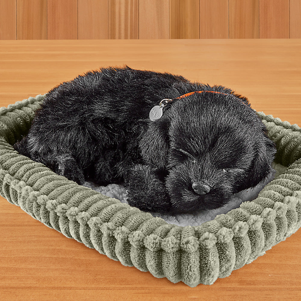 Perfect Petzzz Sleeping Puppy - Image 14