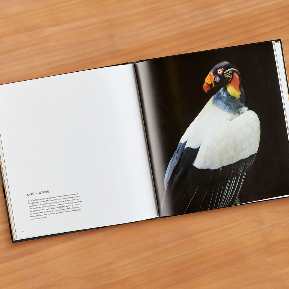 "Raptors: Portraits of Birds of Prey" Photography Book by Traer Scott - Image 2